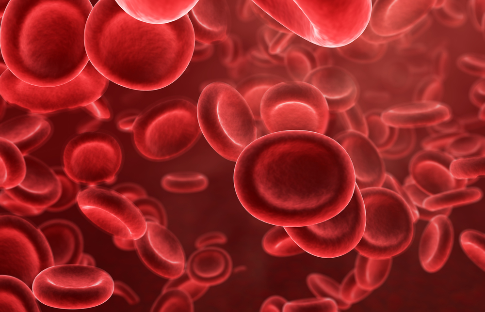 Imortalização de células progenitoras sanguíneas permitem gerar glóbulos vermelhos em larga escala em laboratório