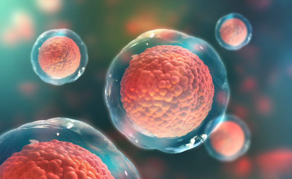 Células-tronco: um panorama dos seus impactos na medicina