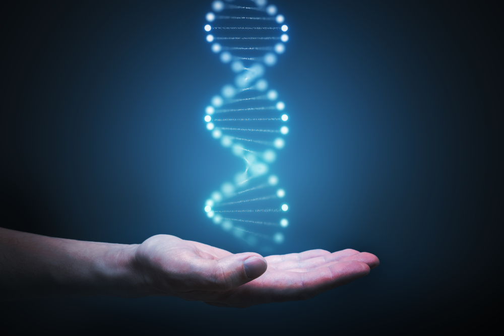 Células-tronco e edição genética separam mutações “boas” das “ruins”, e podem predizer o risco de doença cardíaca